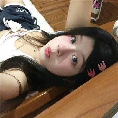 宠物情人