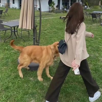 百合熊风暴